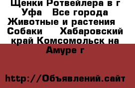 Щенки Ротвейлера в г.Уфа - Все города Животные и растения » Собаки   . Хабаровский край,Комсомольск-на-Амуре г.